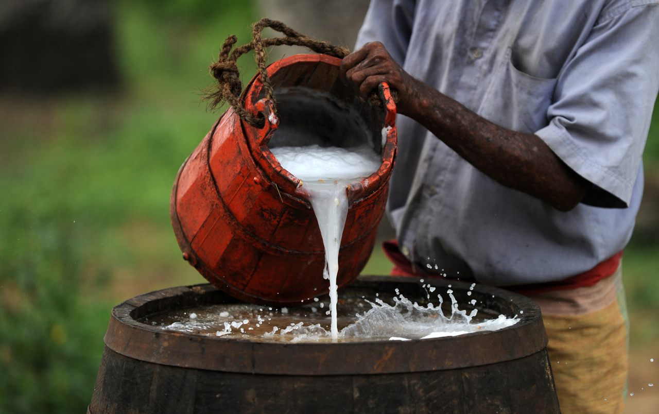Short story: How a hunter discovered palm wine